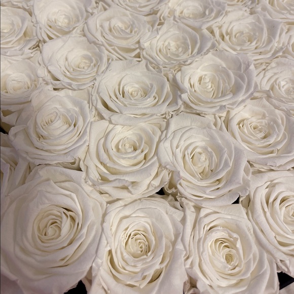 Preserved White Roses in Black Hatbox - Picture 8 of 8
